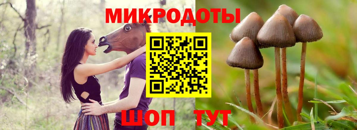 Раменское  Галлюциногенные грибы Psilocybe  Галлюциногенные грибы прущие грибы  Вход с VPN 
